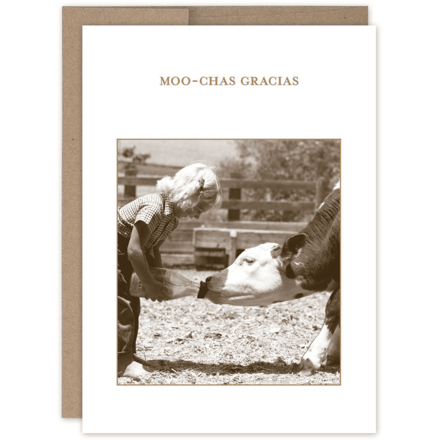 Moo - Chas Gracias - SM660 - White Farmhouse Flowers