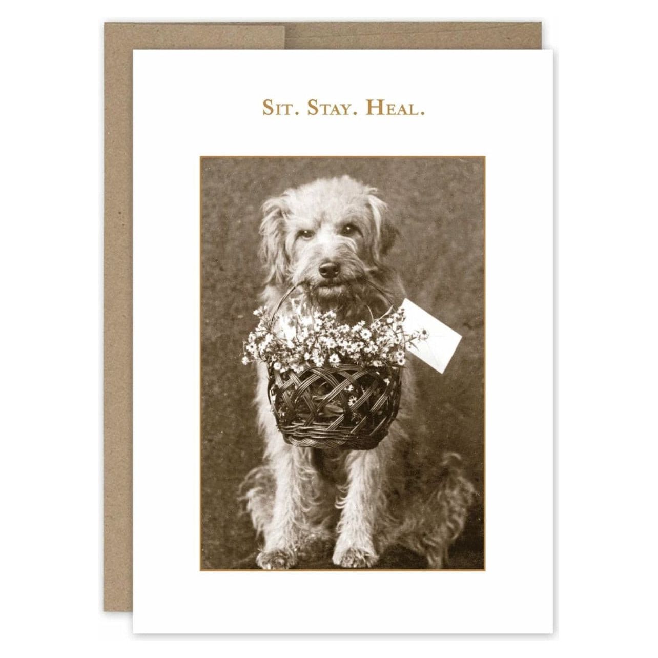 Sit Stay Heal Greeting Card SM338 - White Farmhouse Flowers